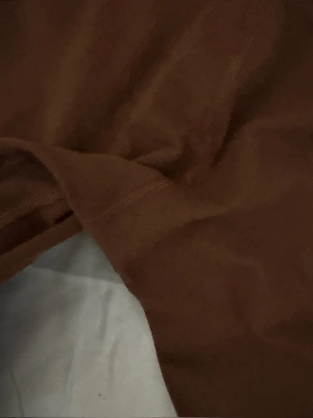 lululemon Brown Leggings size 10